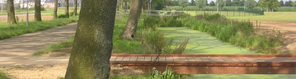 Woonwijk de Overlaet